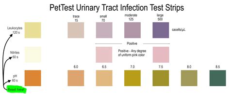 uti test strip hard to read|uti test strip chart.